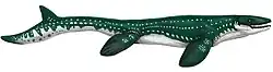 Restoration of Prognathodon saturator