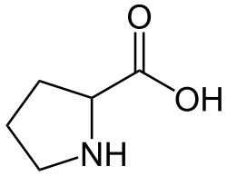 L-Proline (Pro&nbsp;/&nbsp;P)