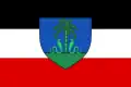 Proposed flag