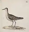 William Ellis' image