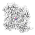 Tacrine bound to acetylcholinesterase (PDB 1ACJ). A pi stacking interaction between tacrine (blue) and Trp84 (red) is proposed