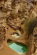 Qeshm