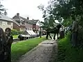 Queenie the Boathorse