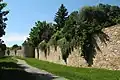 Town walls