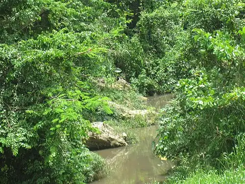 Río Indio in Morovis Norte, near the "Red bridge" El Puente Colorado which was erected in 1913[5]