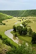 Trebujeni reserve