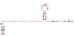 RAGATH-27 Secondary structure taken from the Rfam database. Family RF03100