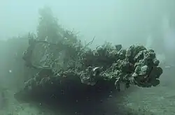 Wreck of the Rhone