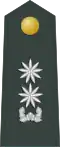 Middle Commander