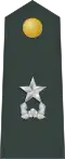 Lesser General
