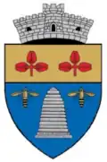 Coat of arms of Petriș