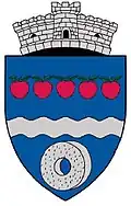 Coat of arms of Pietrari