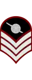 Royal Thai Police