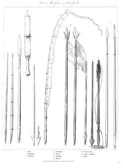 Weapons and standards