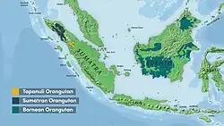 Color topographical map of Indonesia, Malaysian peninsula, Strait of Malacca, South China Sea