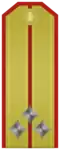 Старши лейтенант Starshi leytenant (Bulgarian Land Forces)[5]