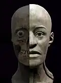 Forensic reconstruction of a young woman (20–25), from the Aksay I cemetery, kurgan 9, burial 6, Late Bronze Age, Srubnaya culture.[19]