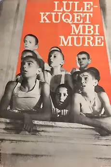 Film poster