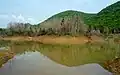 Reflections at Kambalakonda Wildlife Sanctuary