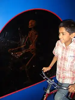 Moving skeleton of a bicyclist