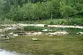 The Kolpa River near Osilnica