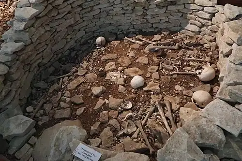 Skull having been trephined three times, corridor of tumulus A, upper level, 4th millennium.