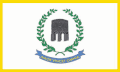Flag of Newport