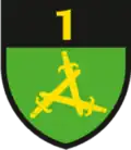 Officer Antanas Juozapavičius 1st Territorial Riflemen Unit
