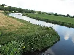 The Slaney near Scarawalsh bridge