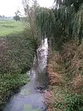 River Wiske near Danby., 54°22′58″N 1°28′57″W﻿ / ﻿54.382685; -1.482633