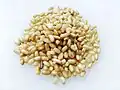 Roasted brown rice