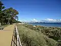 Beachfront landscaping