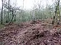 Rocky Plantation