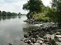 Mouth of the Rodau into the Main near Mühlheim