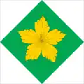 Flag of Rokytne