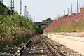 Greenroute at the abandoned station Munich Olympic Stadium