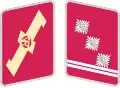 SA Obersturmführer of the "SA Feldherrnhalle Regiment"
