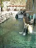 Waterfalls