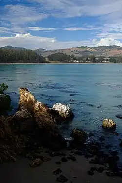 Overlooking San Simeon
