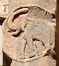 Elephant.