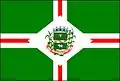 Flag of Santo Antônio de Leverger