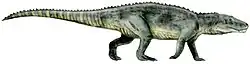 Saurosuchus galilei
