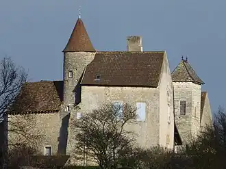 The Castle of Savianges