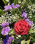 Use in flower arrangement (white)