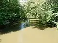 Schuylkill River in Landingville.