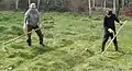 Scything the Anthill Meadow