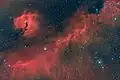 Amateur image of the Seagull Nebula, from an 11" telescope