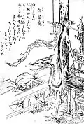 Shirouneri (ja:白溶裔)