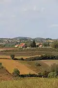 Blizonje - Panorama