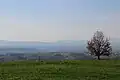 Lukavac - panorama